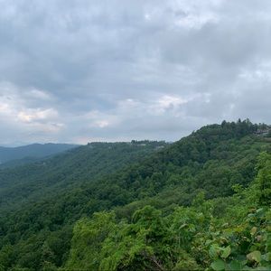 Meet your Posher, Jordon